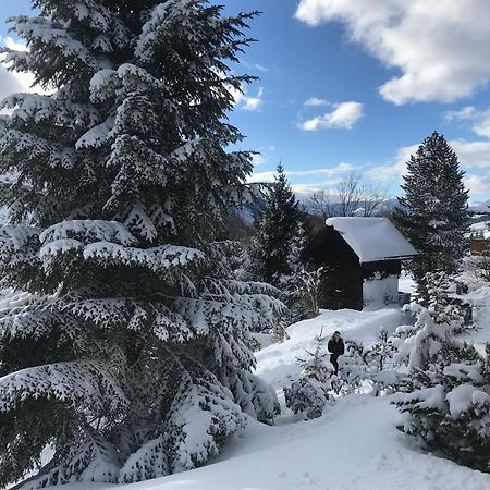 Haus Grimmingblick Villa Zlem Eksteriør billede