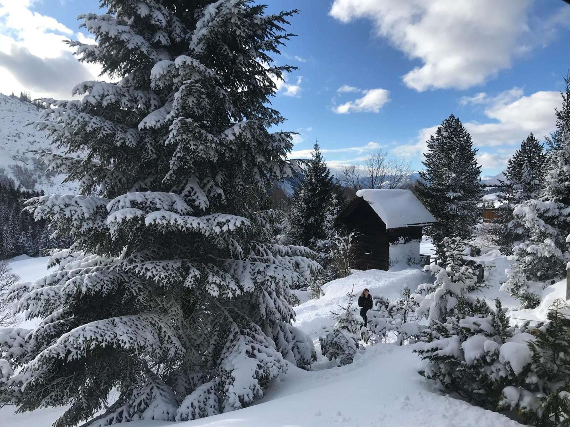 Haus Grimmingblick Villa Zlem Eksteriør billede