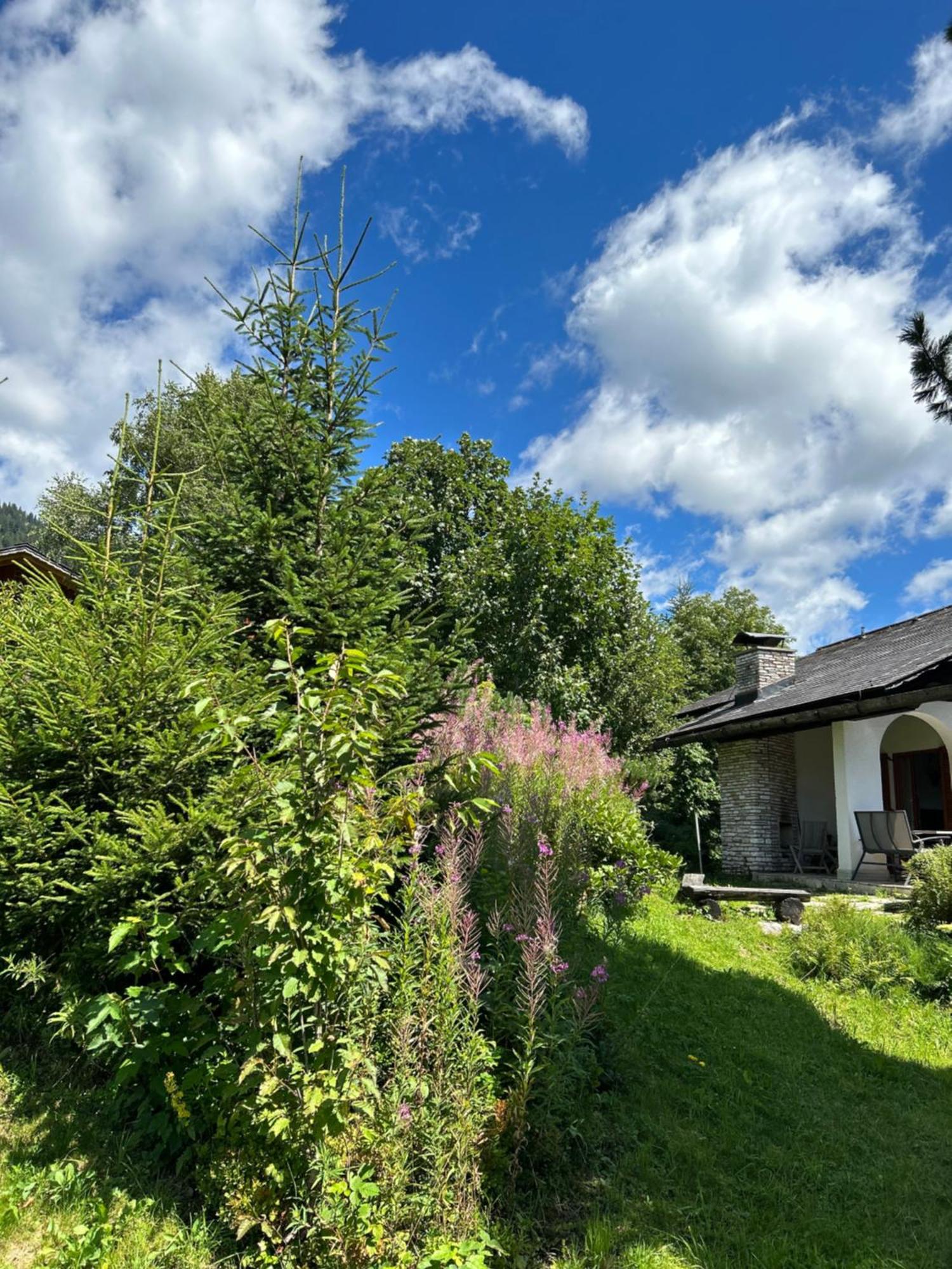 Haus Grimmingblick Villa Zlem Eksteriør billede